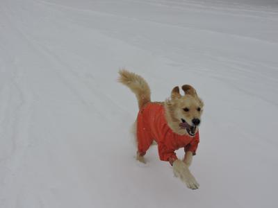 雪遊びだぁ～い好き！！