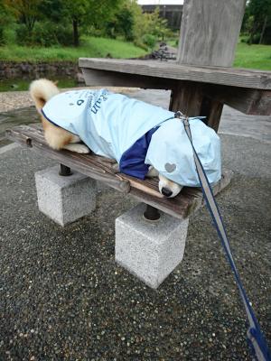 雨の日は行きたくありません