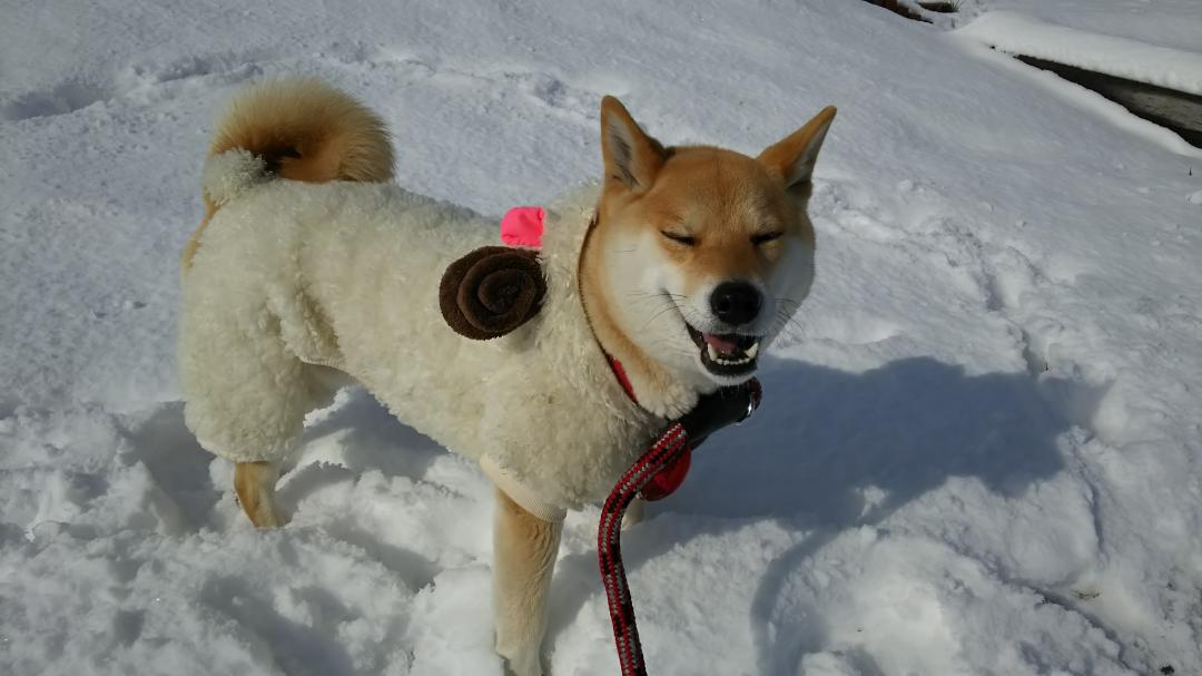 雪原って まっぶしい～