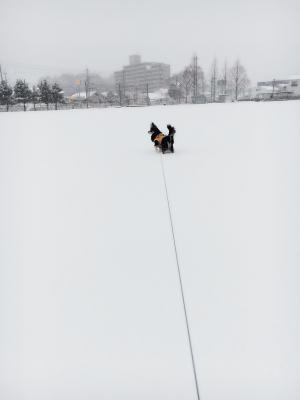 雪とぼく