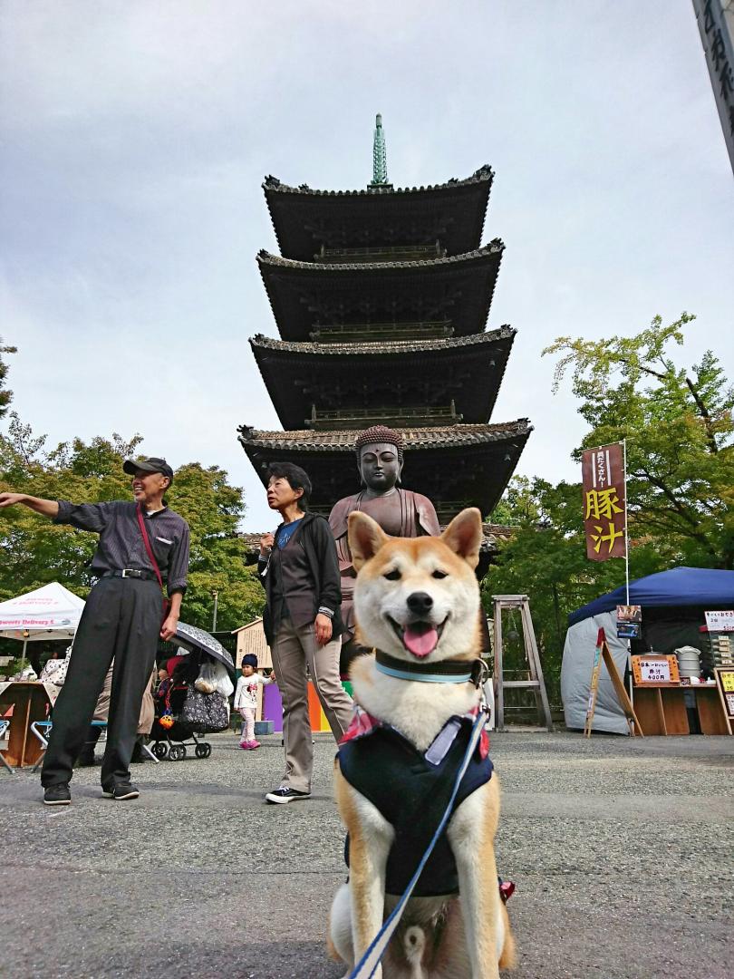 八事興正寺へ☆