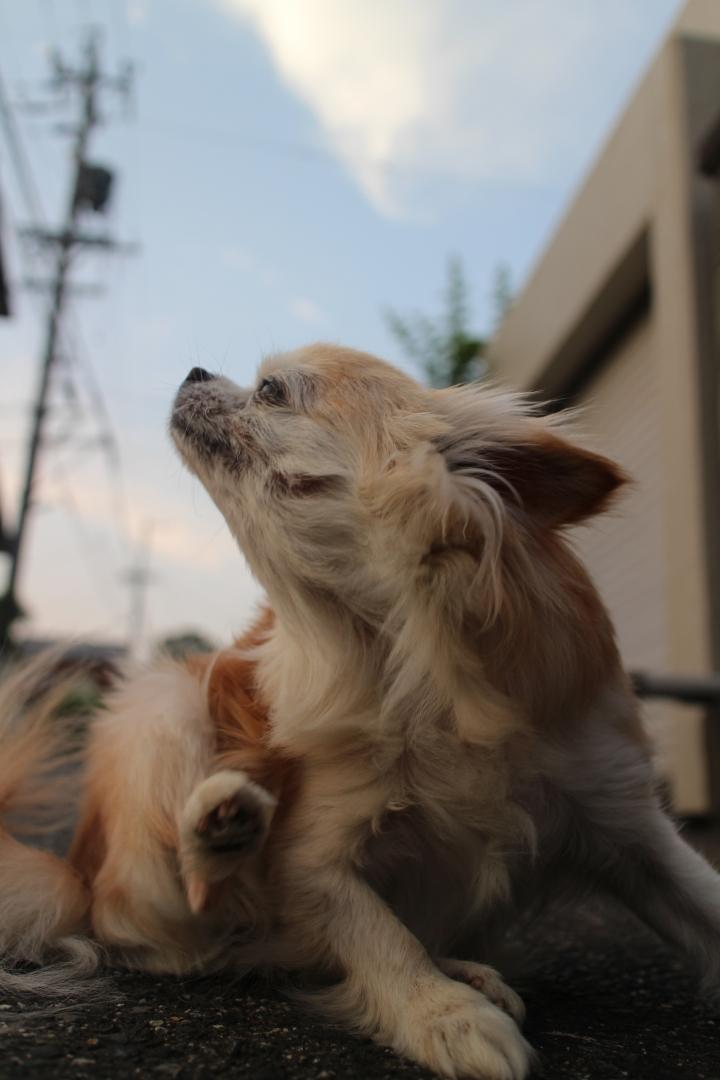 ああ、いい天気♪