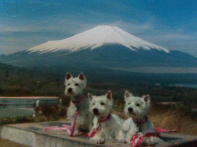 富士山と三姉妹