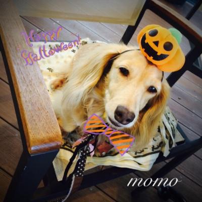 ハッピー ハロウィン🎃