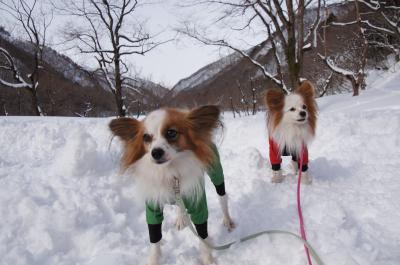 小雪と真雪の雪遊び