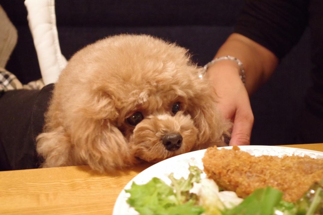 食べたいんですけど??