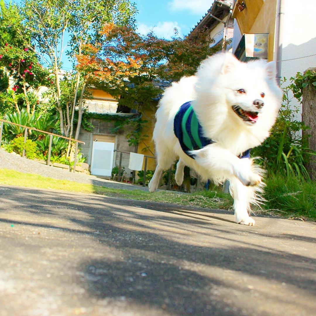 家族を笑顔にしてくれる存在