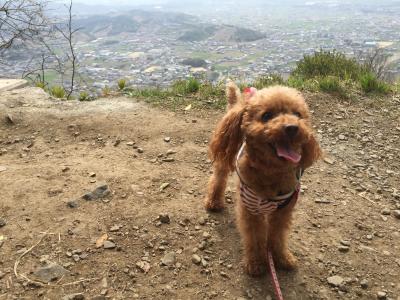 初めての山登り