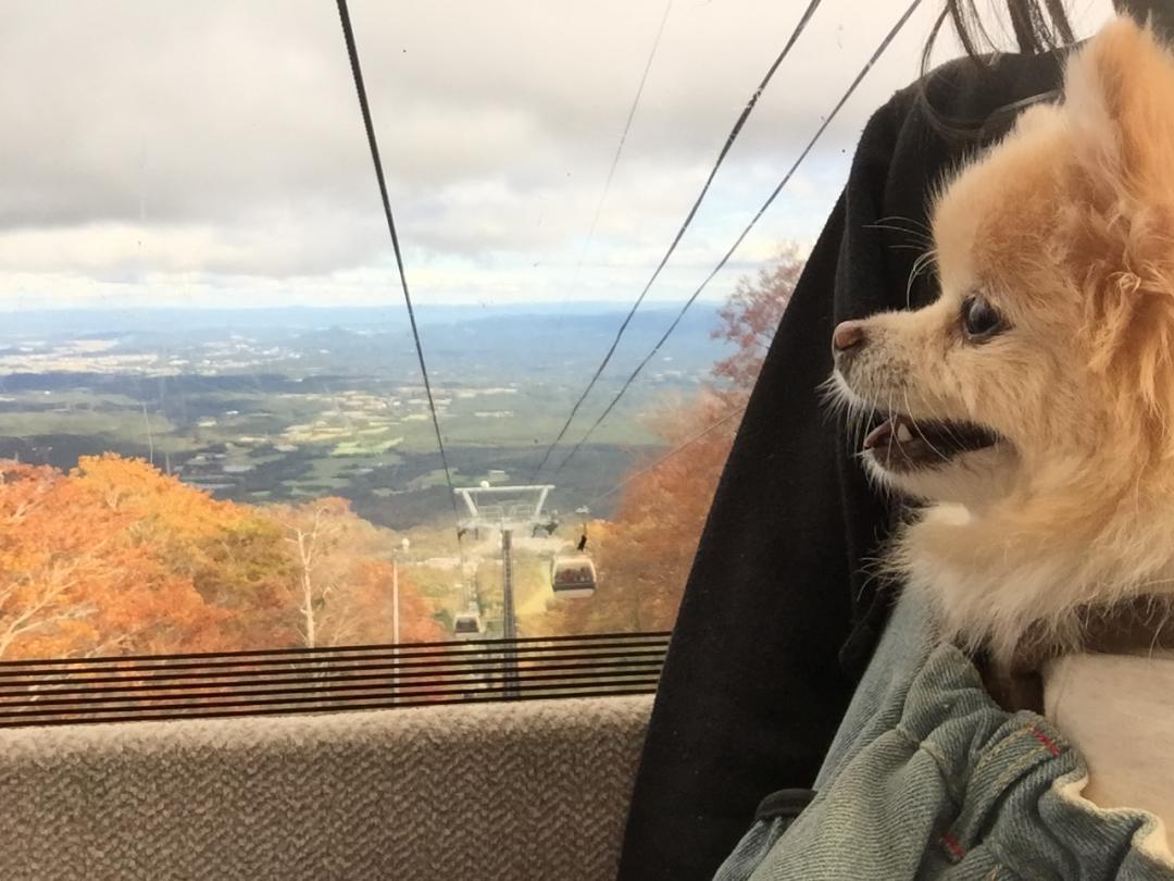 初めてのゴンドラ