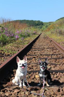 鉄道をめぐる旅