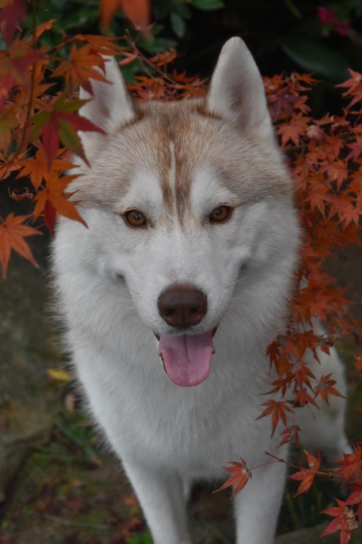 今年一の笑顔