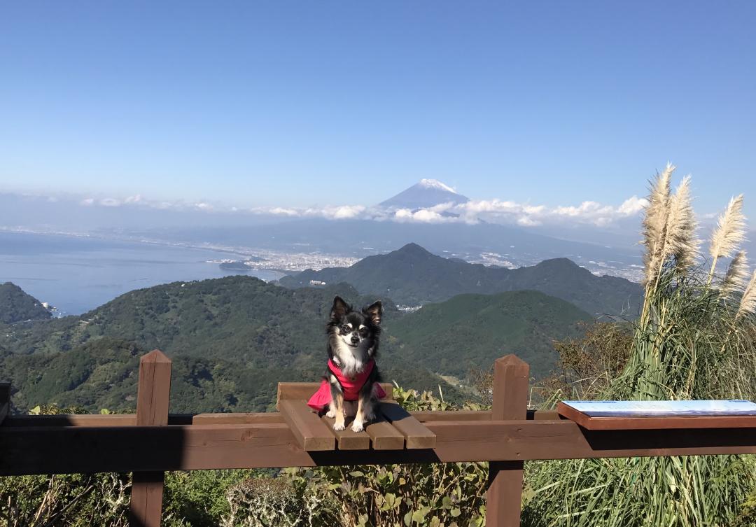 富士山と