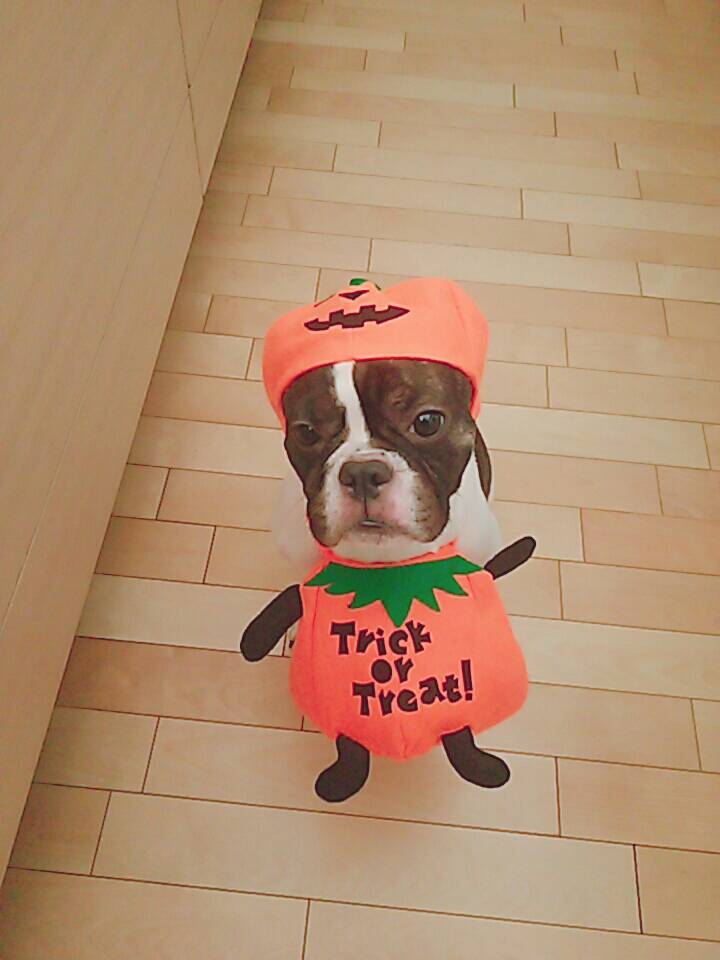 ハロウィン🎃