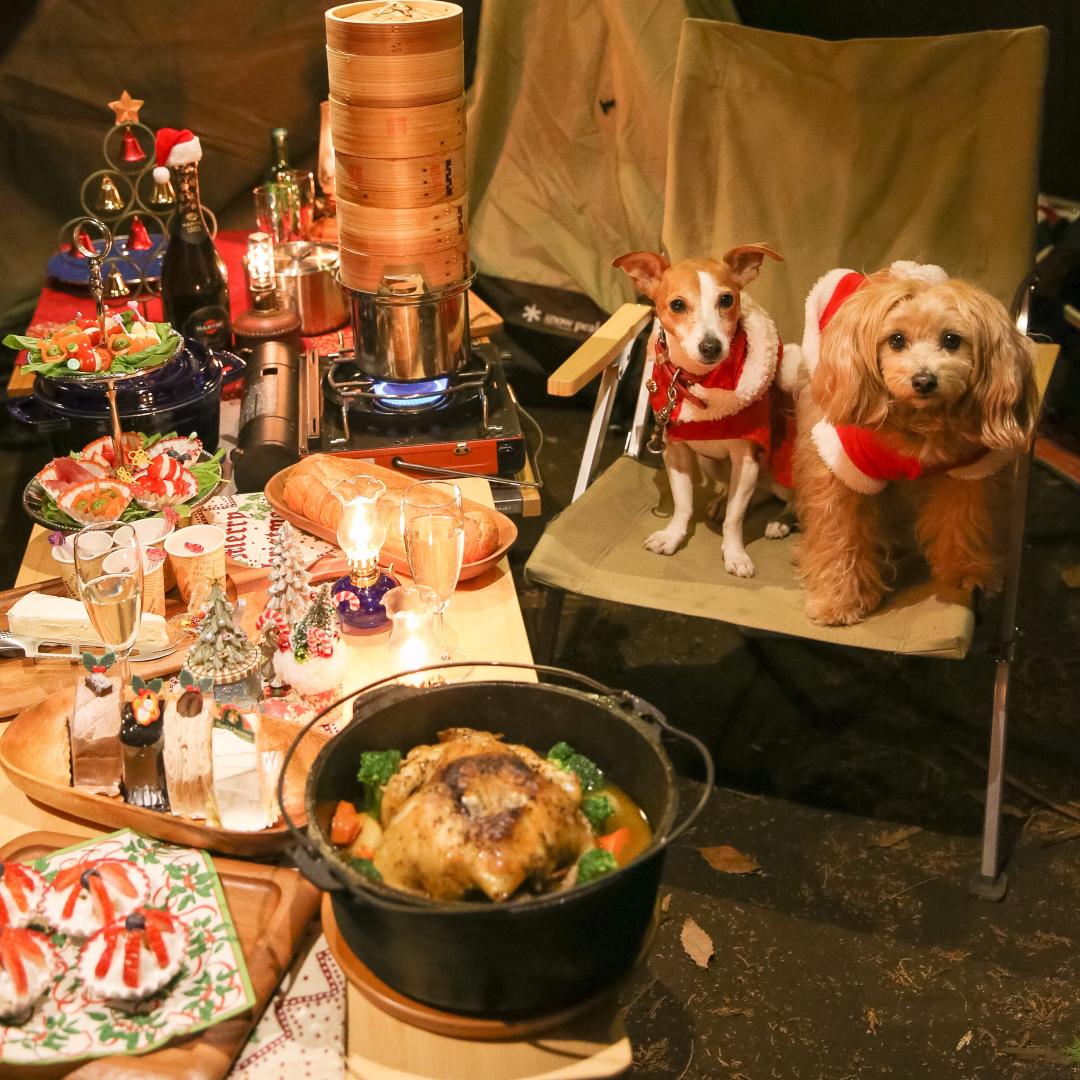 お友達とクリスマスパーティー Miyuseyさんの投稿写真 犬 愛犬フォトコンテスト イヌトミィ