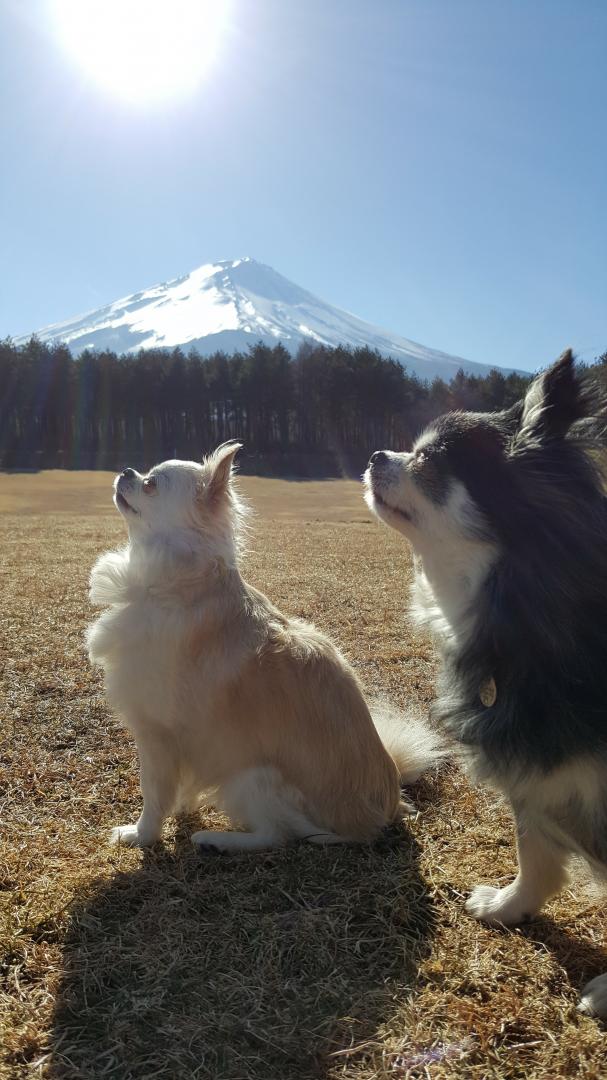 富士山の二合目を貸し切り