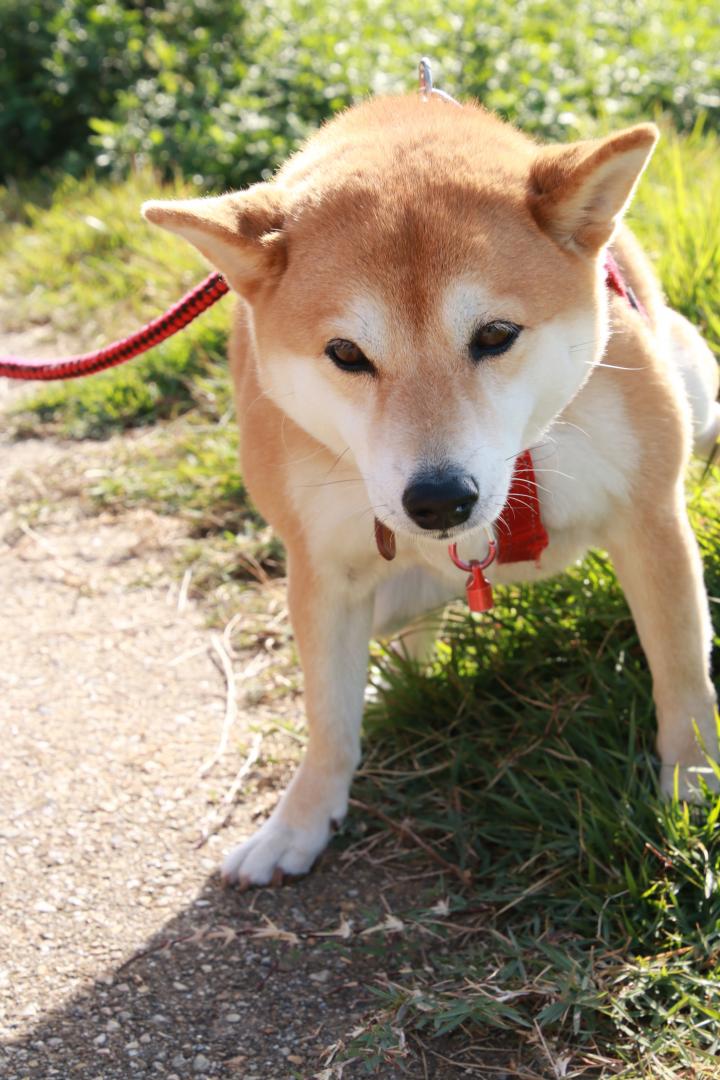 お気に入りの「場所！」