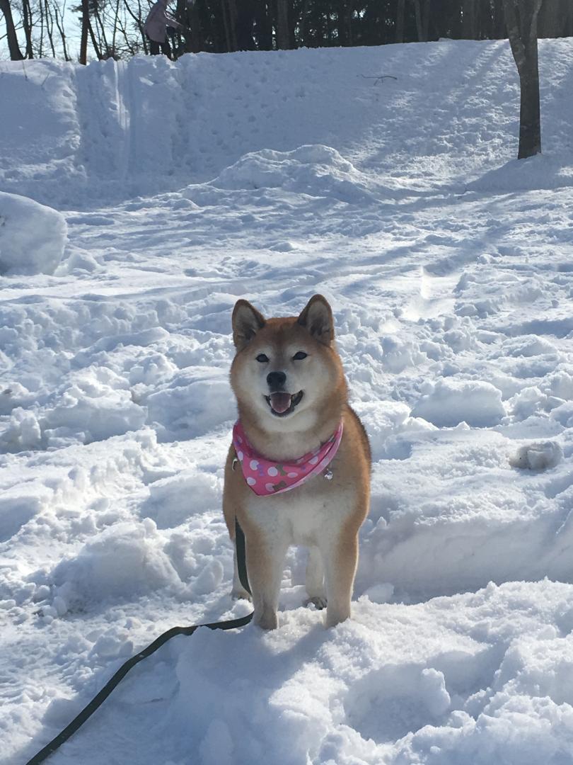 寒いの大好き！