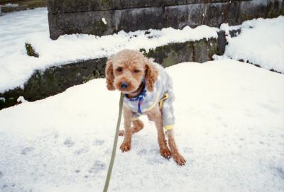 寒いー！けどもう我慢できない！