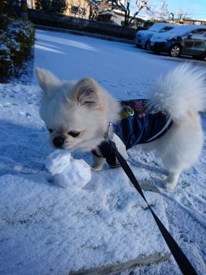 これおいしいの？