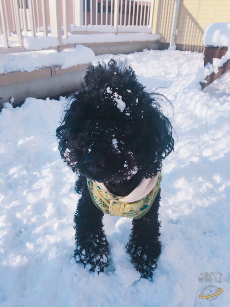 初めての雪遊び