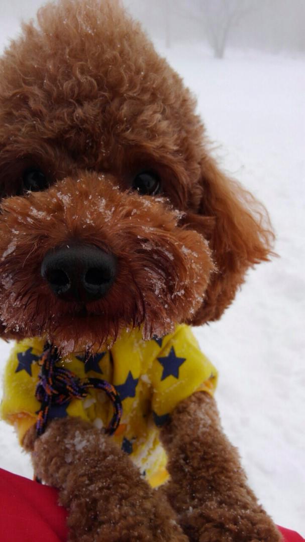 雪遊び最高～！