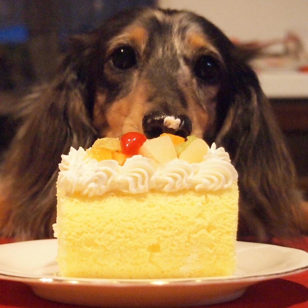 誕生日おめでとう！