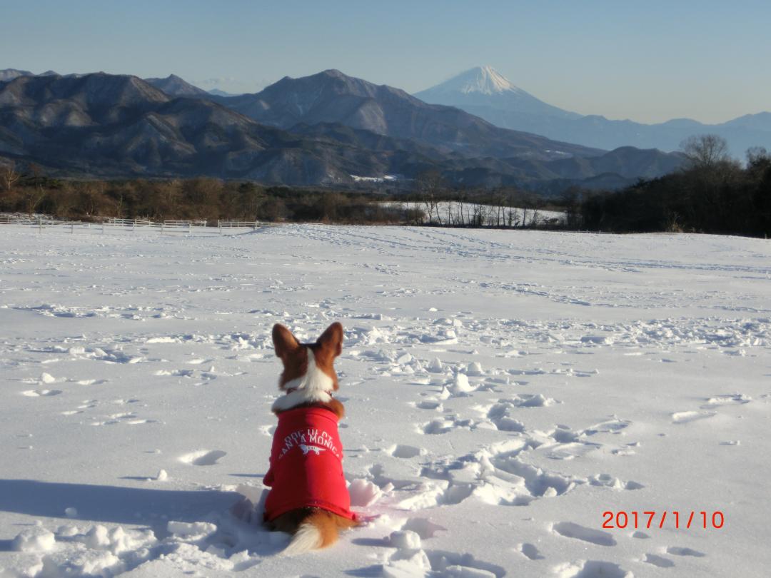 富士を望む