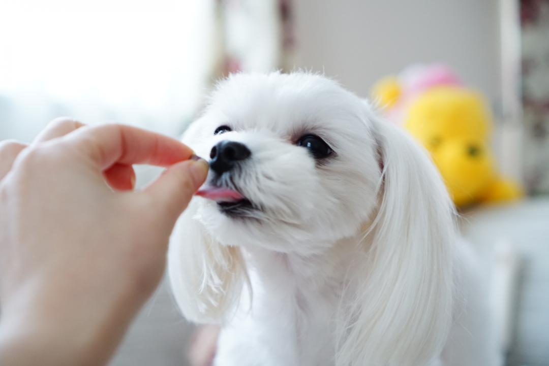 ウマウマ～♪とにかく癒し～《*≧∀≦》