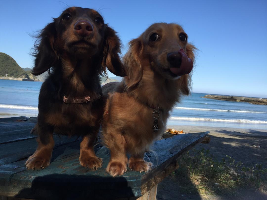 海風を感じる２人