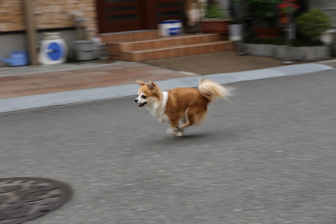 颯爽と