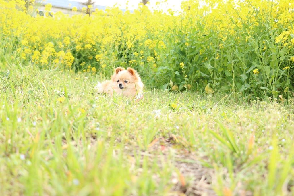 ちょっと休憩～