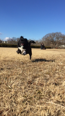 公園デビュー!!