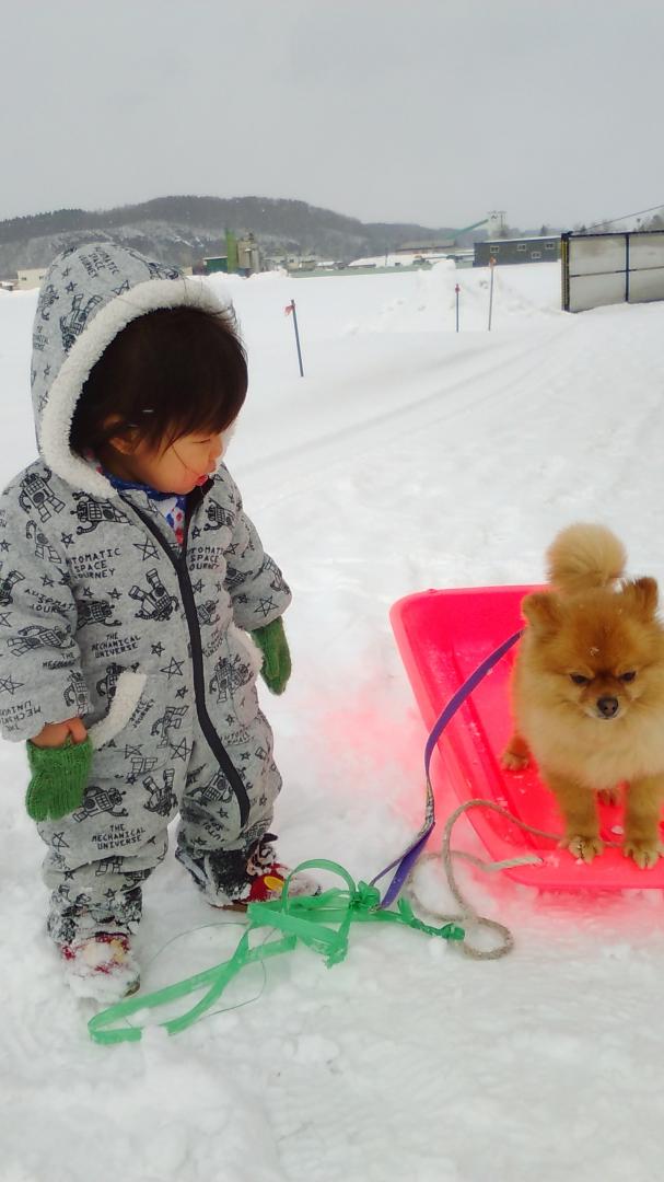 孫と愛犬