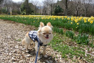 お花畑で、まったり～