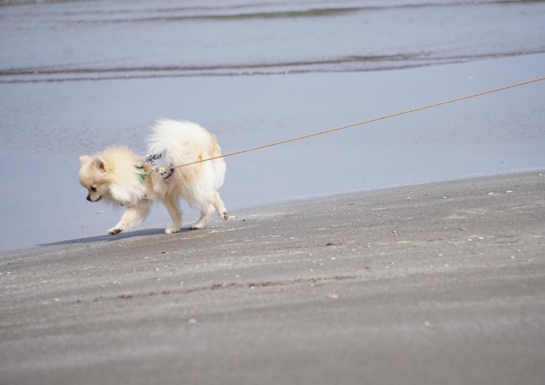 海水まだつめたいかな～？