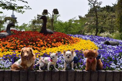 お花畑で仲良しフレンドと ハイポーズ❣