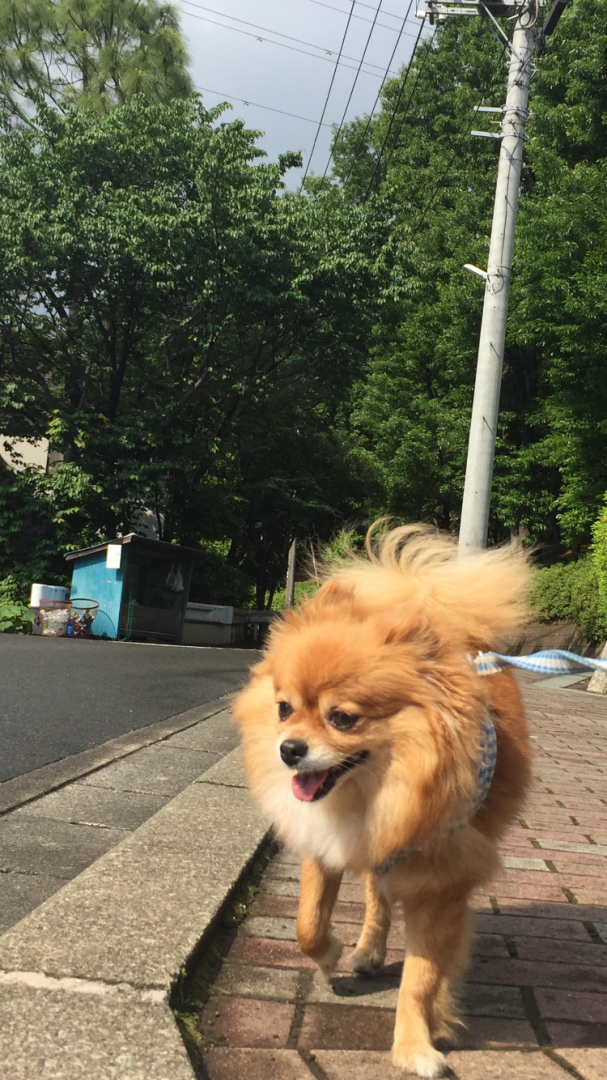 雨が晴れたよ！