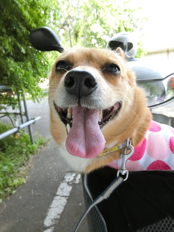 いつも、一緒にバイクで走ってます！