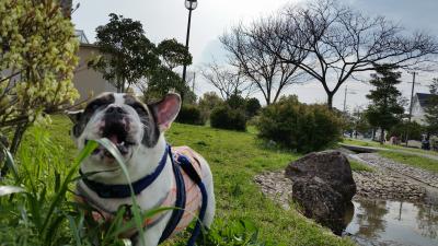 初めて来た公園～(人´ з`*)♪