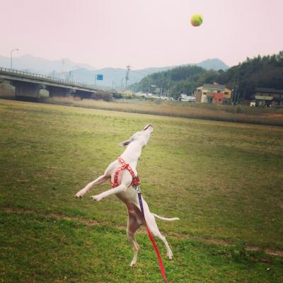 大好きな公園でハイジャンプ♪