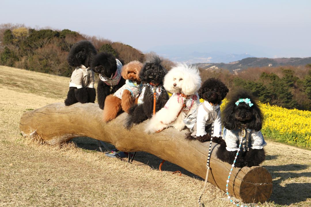 劇団 天パ 淡路島へ行く