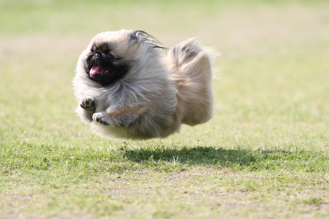 ひとっとび行ってくるね！と~ぉ！