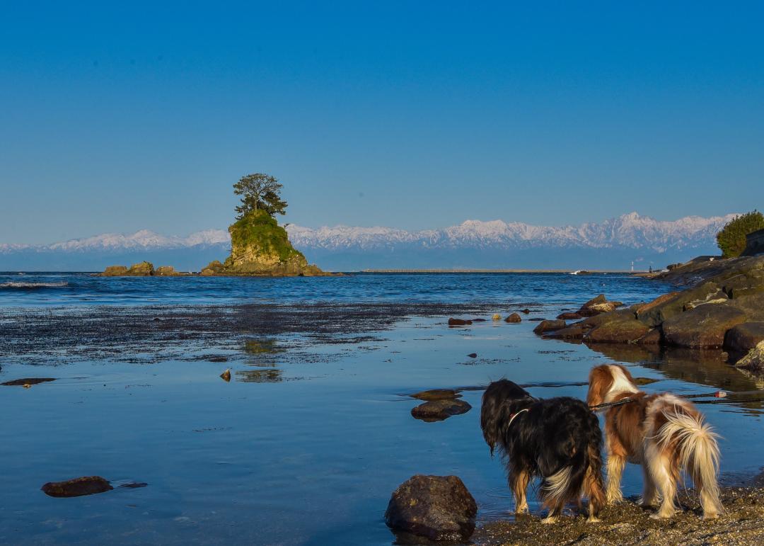 海と山の絶景に魅了された富山旅