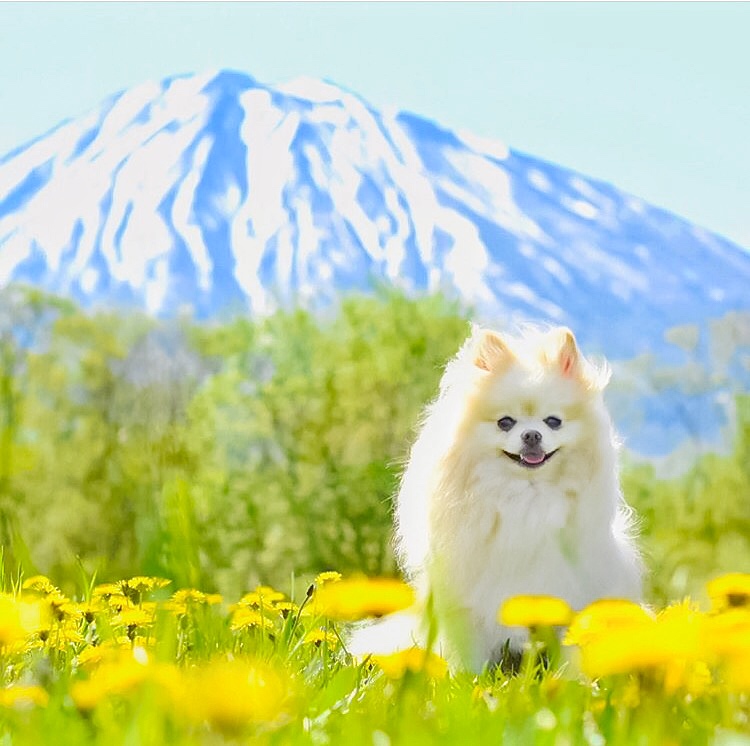 毎日が思い出