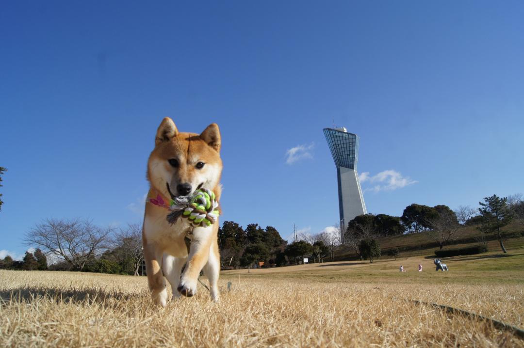 青空最高