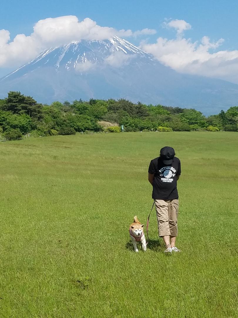 富士山のふもとでお散歩