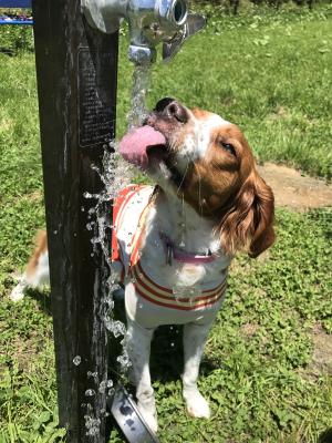 ウマウマっ、美味しいお水！！！