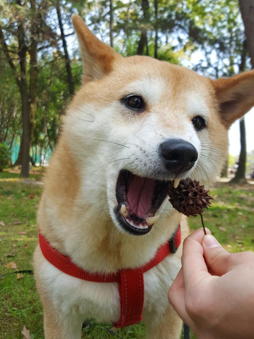 たべる？たべてる？