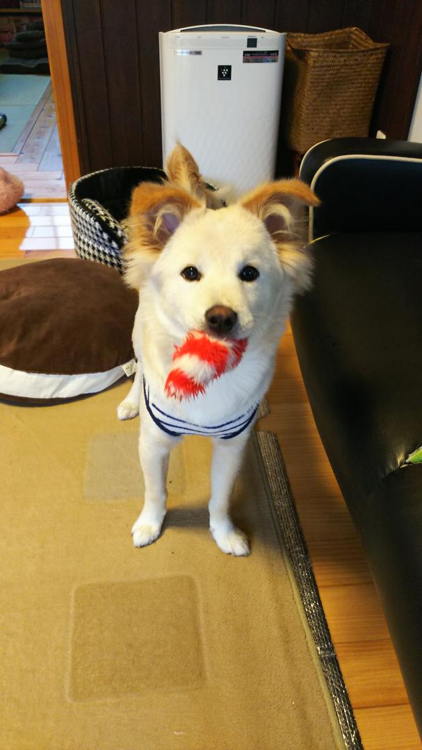 母ちゃん遊ぼう🎵