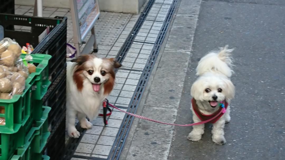 超仲良し😃🍒😃同い年の恋人同士です。